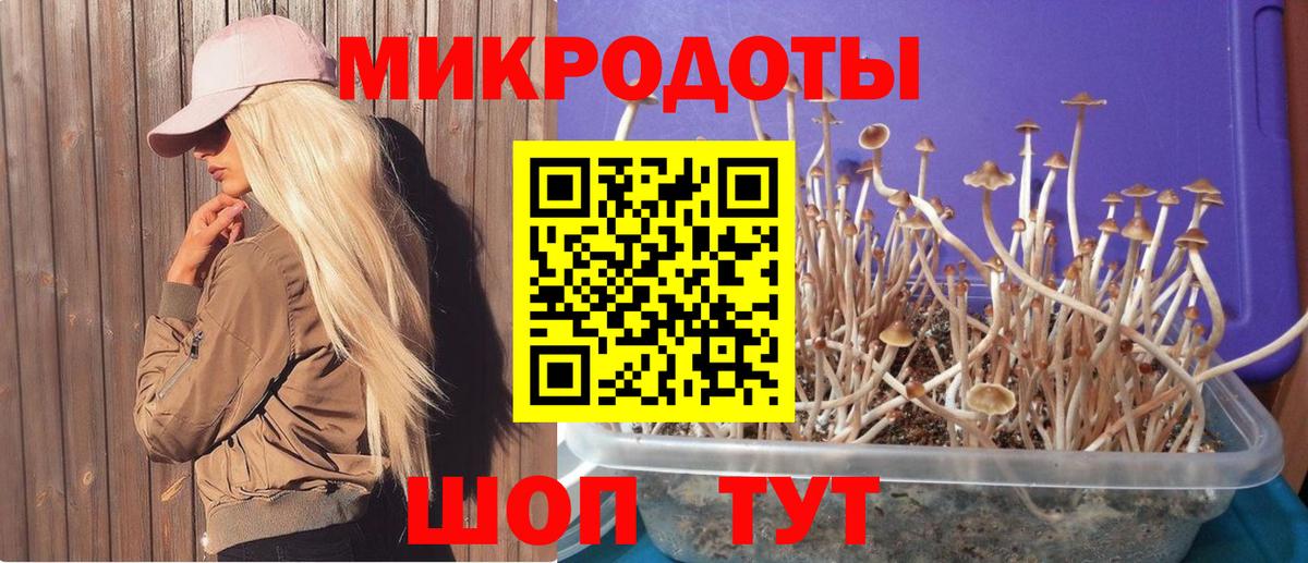 Псилоцибиновые грибы Cubensis Назрань