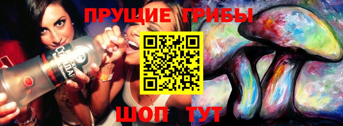 Назрань  Галлюциногенные грибы Psilocybe  Вход с VPN 