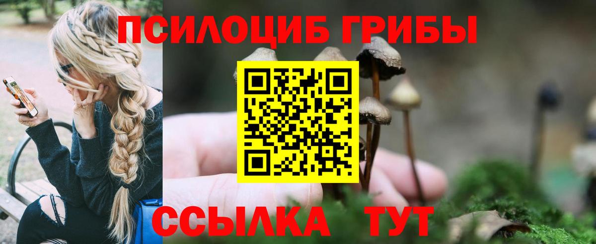 закладка  Назрань  Псилоцибиновые грибы мухоморы  Галлюциногенные грибы мухоморы 